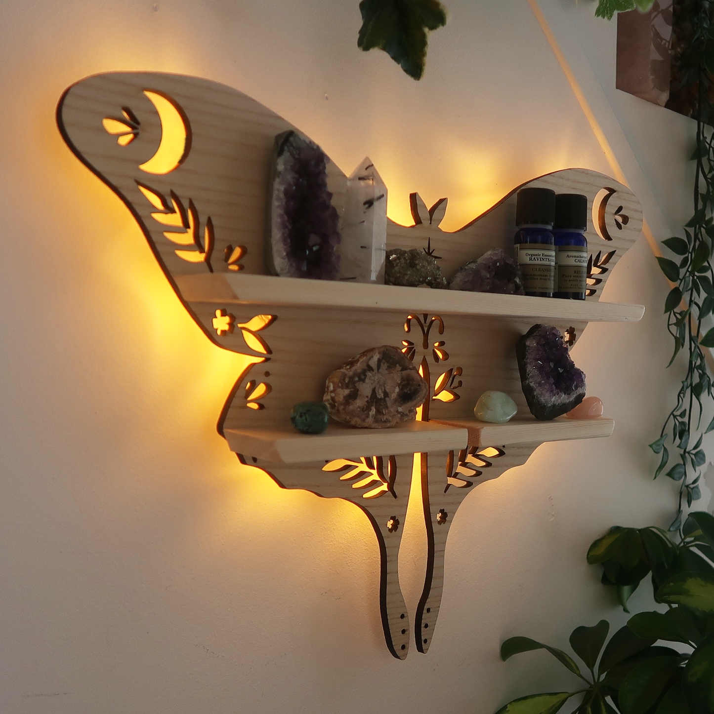 Luna Moth Lamp Crystal Shelf