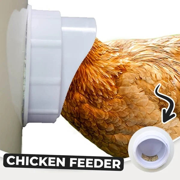 (🔥2024 NEW-50% OFF)DIY Chicken Feeder