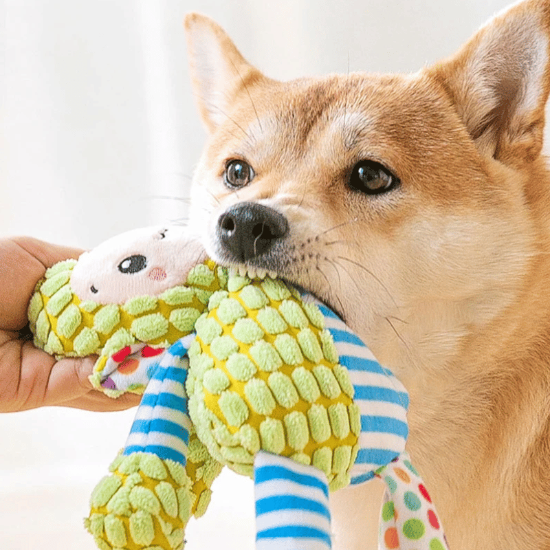 🔥Squeaky plush toy