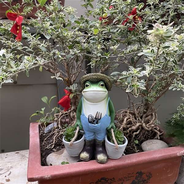 🔥HOT SALE🔥-🐸Funny Frogs Garden Statue😂