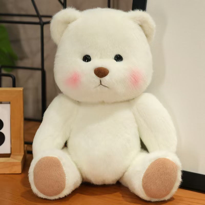 💞Perfect Gift💞Transforms into a Teddy Bear Doll🧸