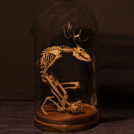 🔥🔥🔥Holiday Day Promotion 40% OFFWENDIGO SKELETON CURIOSITY CABINET  - Buy two and get free shipping!