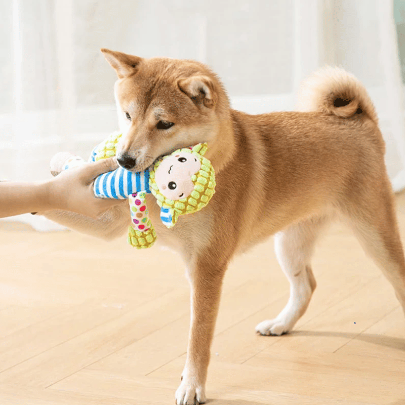 🔥Squeaky plush toy