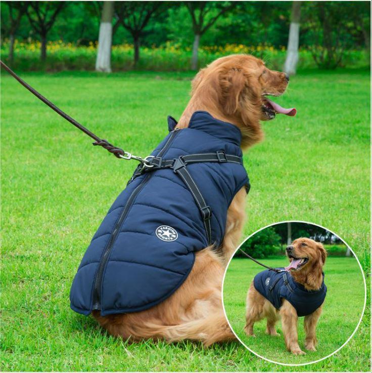 🔥Specially designed for pets🔥 Waterproof winter jacket with built-in harness