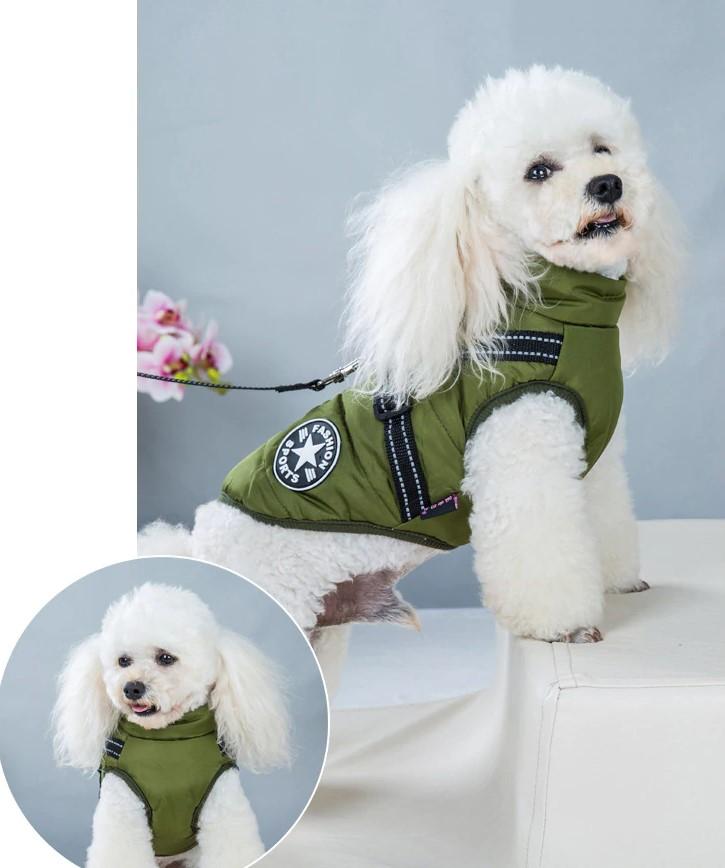 🔥Specially designed for pets🔥 Waterproof winter jacket with built-in harness