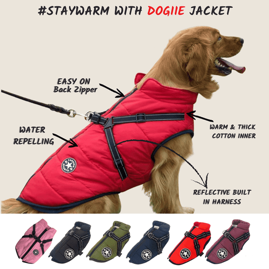 🔥Specially designed for pets🔥 Waterproof winter jacket with built-in harness