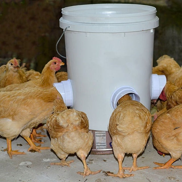 (🔥2024 NEW-50% OFF)DIY Chicken Feeder