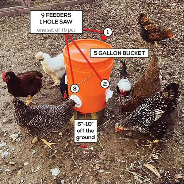 (🔥2024 NEW-50% OFF)DIY Chicken Feeder