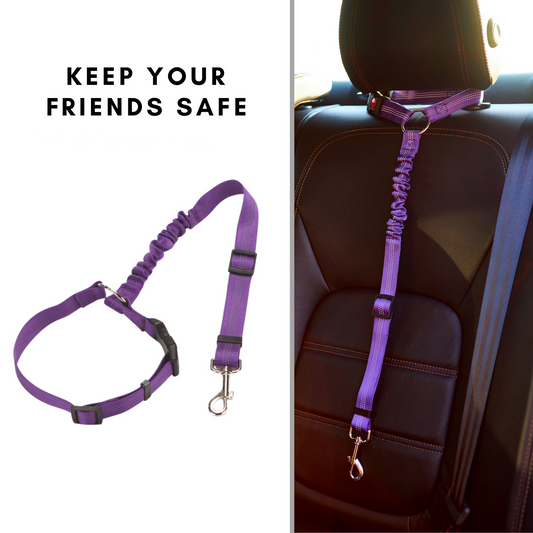 2024  Sale - Adjustable Car Dog Leash