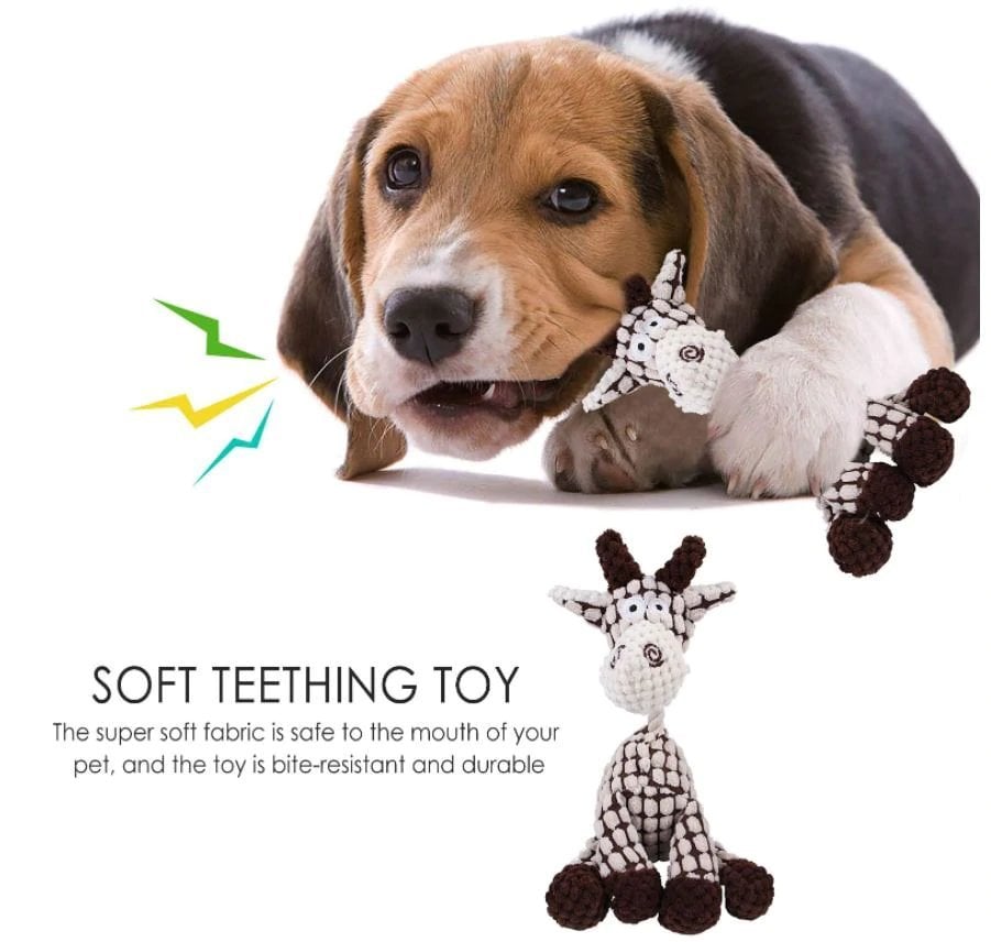 Dog teeth grinding🎁plush sound toy